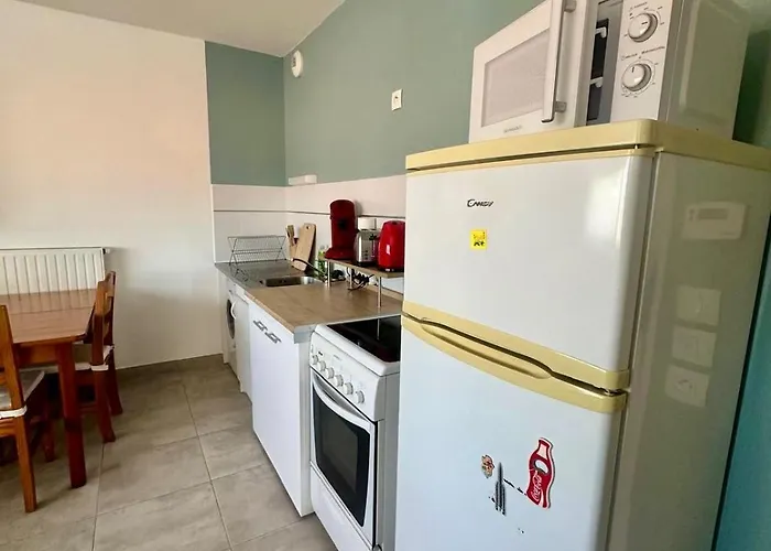 Appartement Cosy Perpi Gare